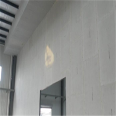 临高宁波ALC板|EPS加气板隔墙与混凝土整浇联接的实验研讨
